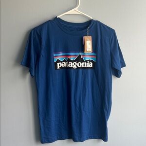Patagonia Kids Blue Mountain Graphic Tee